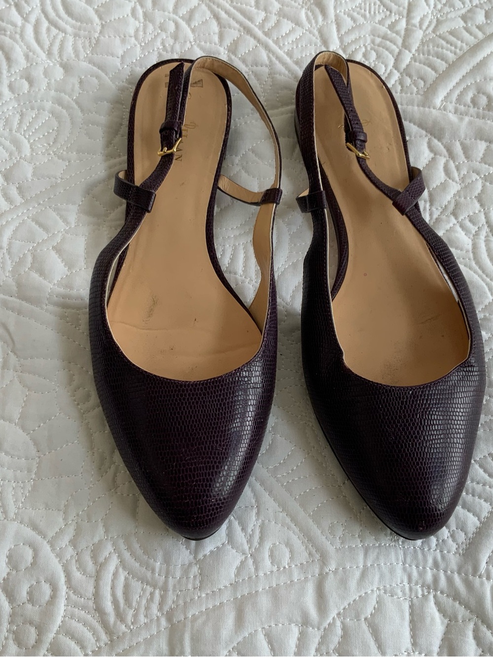 Cole Haan Pointed Slingback Flats in Deep Burgundy